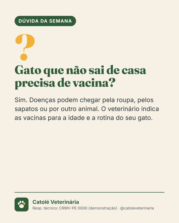 Post: gato que não sai de casa precisa de vacina?